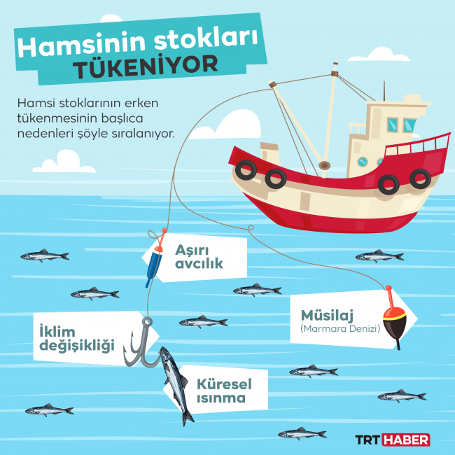 Grafik: TRT Haber